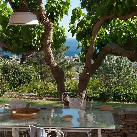 Villa Montofoli Wine Estate Karystos (Evia)