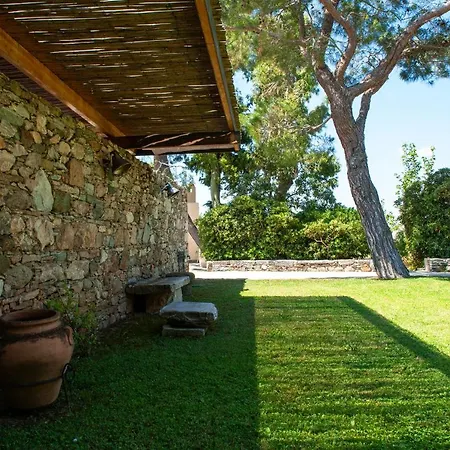 Montofoli Wine Estate カリストス