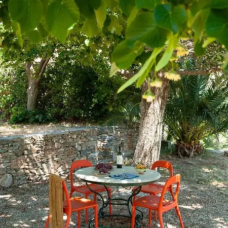 Montofoli Wine Estate * Каристос