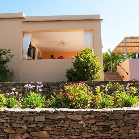 Montofoli Wine Estate *