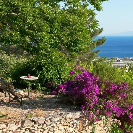 Montofoli Wine Estate