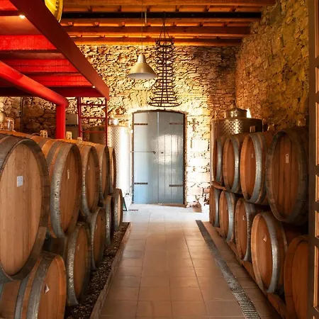 Montofoli Wine Estate カリストス