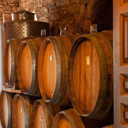 Montofoli Wine Estate קריסטוס