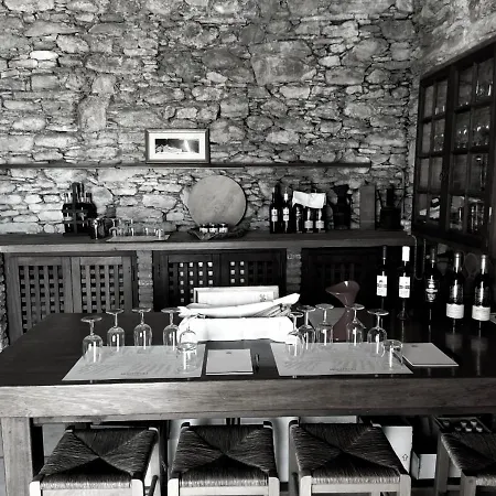 Villa Montofoli Wine Estate