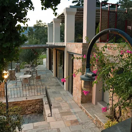 Montofoli Wine Estate Villa