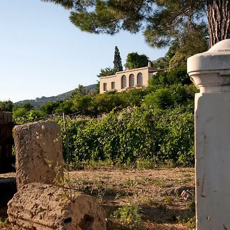 Montofoli Wine Estate *