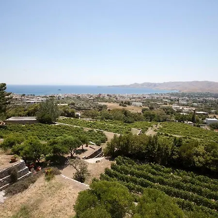 Montofoli Wine Estate *