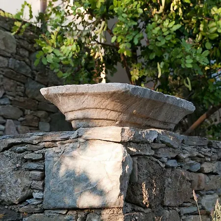 Montofoli Wine Estate Villa
